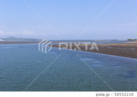 守江湾の干潟 大分県杵築市 守江湾の干潟 大分県杵築市 50552210
