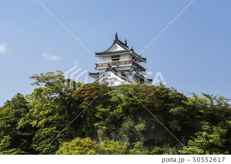 五月晴れに新緑が映える杵築城 五月晴れに新緑が映える杵築城 50552617