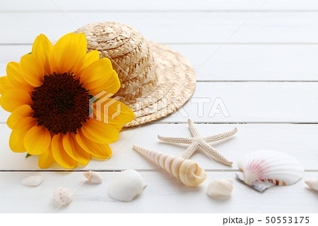 夏イメージ　ひまわり 50553175