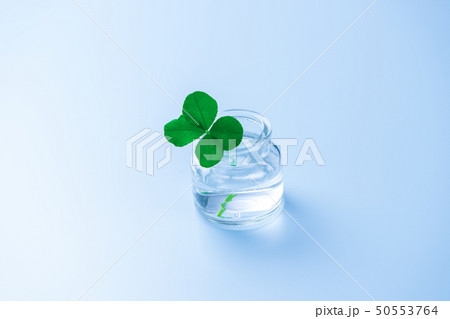 四葉のクローバー　ガラス器 50553764