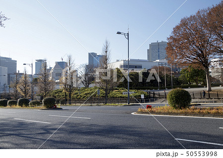 皇居（冬） 50553998