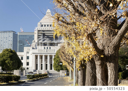 国会議事堂（冬） 50554323