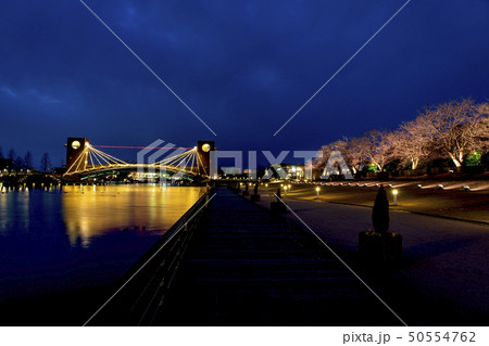 富山 富岩運河 環水公園ライトアップファンタジー 富山 富岩運河 環水公園ライトアップファンタジー 50554762