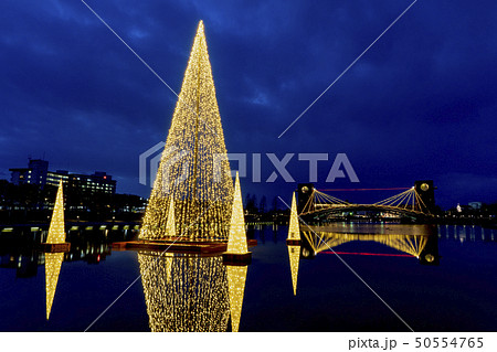 富山　富岩運河　環水公園ライトアップファンタジー 50554765