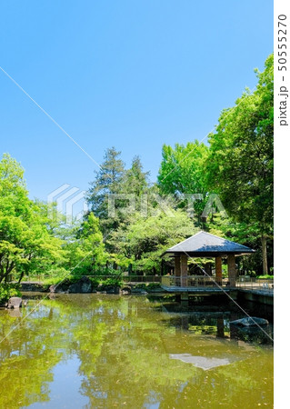 蚕糸の森公園 50555270