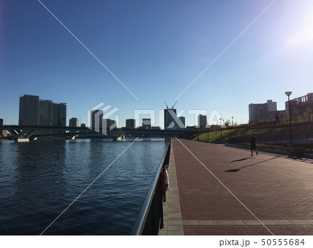 朝から軽快なランナー 50555684