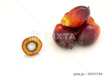 Palm Oil fruits with cooking oil and palm leaf Palm Oil fruits with cooking oil and palm leaf 50555794