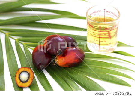 Palm Oil fruits with cooking oil and palm leaf Palm Oil fruits with cooking oil and palm leaf 50555796