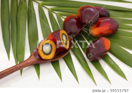 Palm Oil fruits with cooking oil and palm leaf Palm Oil fruits with cooking oil and palm leaf 50555797