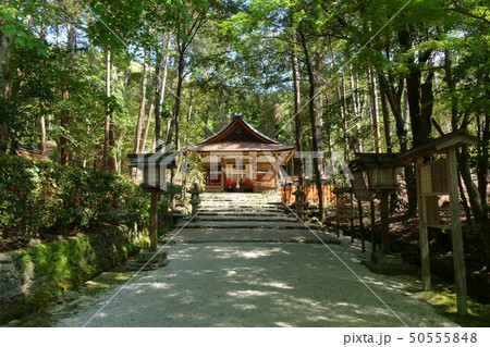 京都、上賀茂神社の境外摂社である大田神社の参道と拝殿 京都、上賀茂神社の境外摂社である大田神社の参道と拝殿 50555848