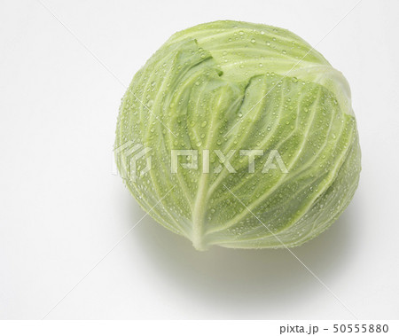 新キャベツ 50555880