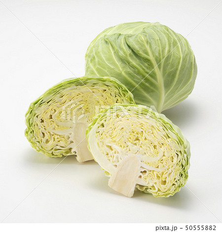 新キャベツ 新キャベツ 50555882