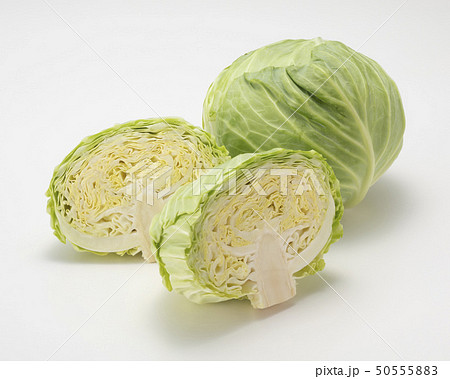 新キャベツ 50555883