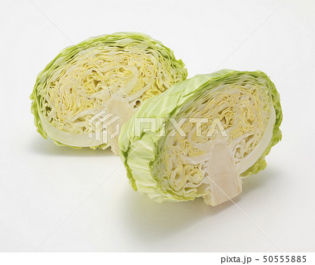 新キャベツ 50555885