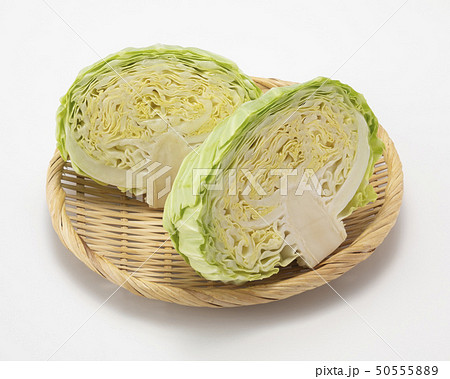 新キャベツ 50555889
