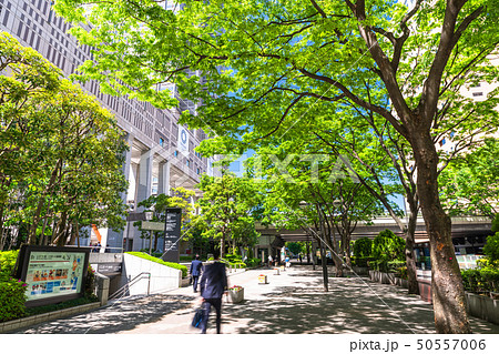《東京都》東京ビジネス街・初夏の西新宿 《東京都》東京ビジネス街・初夏の西新宿 50557006