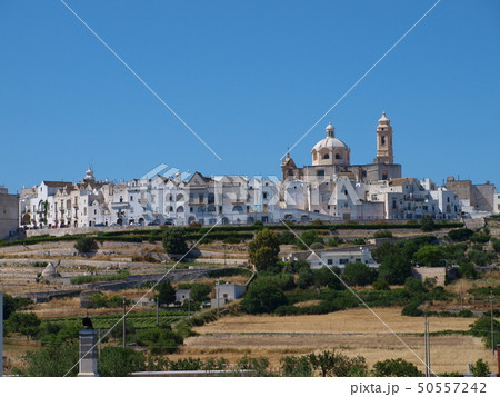 ロコロトンド ロコロトンド 50557242