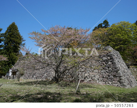 高取城 太鼓御櫓台と新御櫓台 高取城 太鼓御櫓台と新御櫓台 50557263