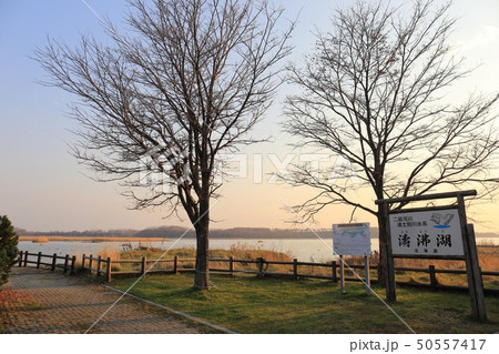 北海道 網走 濤沸湖 北海道 網走 濤沸湖 50557417
