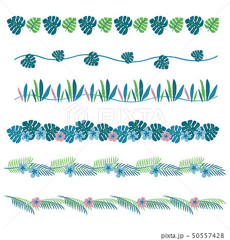 トロピカル 葉と花 ライン セットのイラスト素材