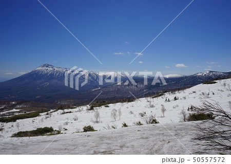 行ってみよう残雪の八幡平 行ってみよう残雪の八幡平 50557572