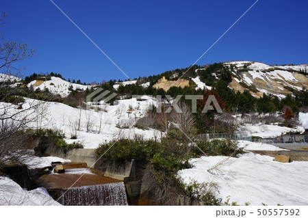 行ってみよう残雪の八幡平 行ってみよう残雪の八幡平 50557592