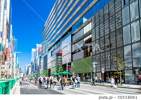 東京　銀座　中央通りの風景（銀座六丁目） 50558061