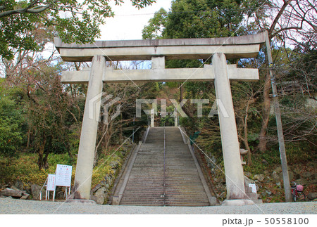 四條畷神社・鳥居/大阪府四條畷市南野2 四條畷神社・鳥居/大阪府四條畷市南野2 50558100