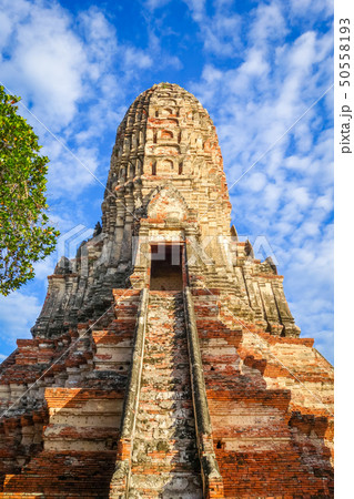 Wat Chaiwatthanaram temple, Ayutthaya, Thailand 50558193