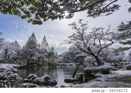 冬の金沢旅行 雪の兼六園の写真素材