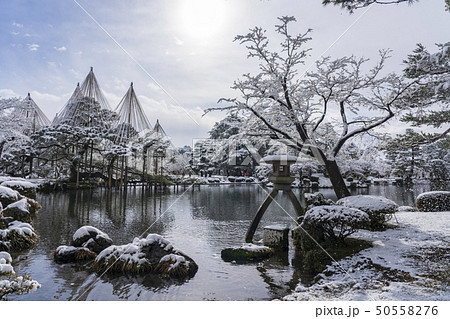 冬の金沢旅行 雪の兼六園 冬の金沢旅行 雪の兼六園 50558276