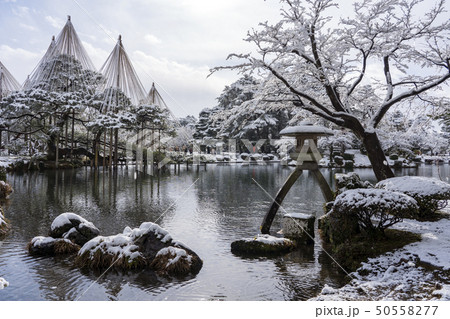 冬の金沢旅行　雪の兼六園 50558277