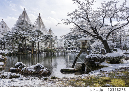 冬の金沢旅行　雪の兼六園 50558278
