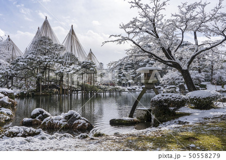 冬の金沢旅行 雪の兼六園の写真素材 冬の金沢旅行 雪の兼六園の写真素材