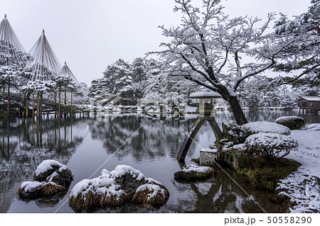 冬の金沢旅行 雪の兼六園の写真素材