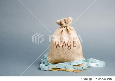 Money bag with the word Wage and tape measure Money bag with the word Wage and tape measure 50558390