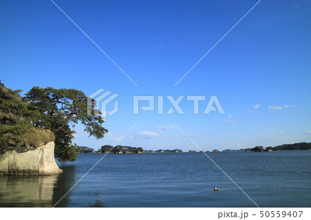 松島002 50559407
