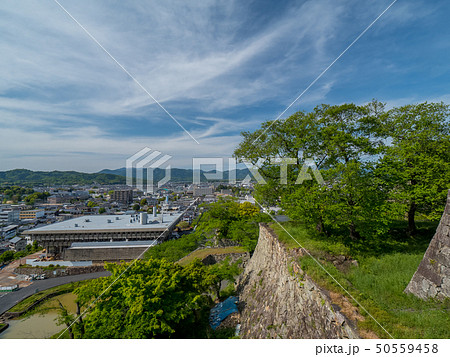 新緑の津山城跡 50559458