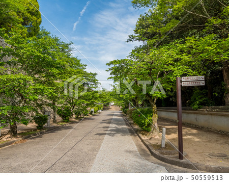 新緑の津山城跡 50559513