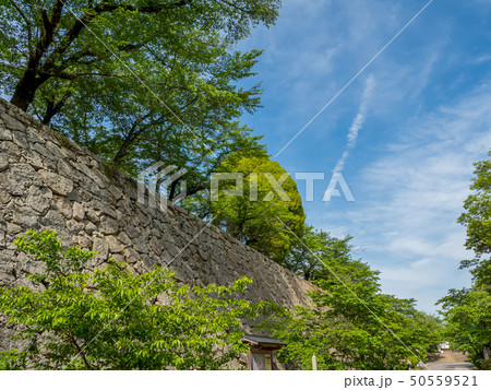 新緑の津山城跡 50559521