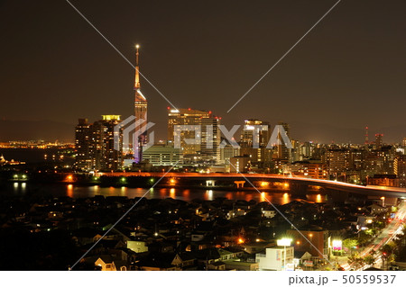 福岡シーサイドももち夜景風景 50559537