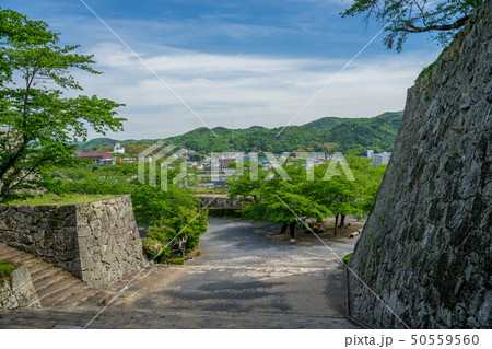 新緑の津山城跡 新緑の津山城跡 50559560