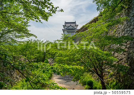 新緑の津山城跡 50559575