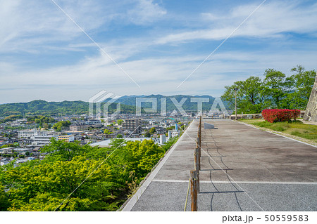 新緑の津山城跡 50559583