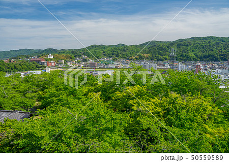 新緑の津山城跡 50559589