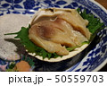 ほっき貝001 50559703