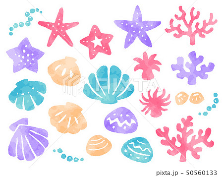 海モチーフの水彩風イラストセット ヒトデ 貝 サンゴ のイラスト素材 50560133 Pixta