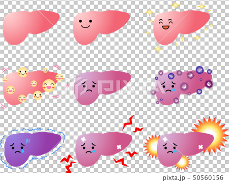 肝臓 臓器 人体 イラスト かわいいのイラスト素材