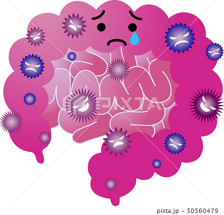 臓器 大腸 小腸 人体 イラスト ヘルスケア かわいいのイラスト素材