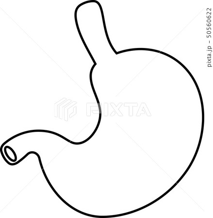 胃 胃袋 臓器 人体 ヘルスケア かわいい イラストのイラスト素材